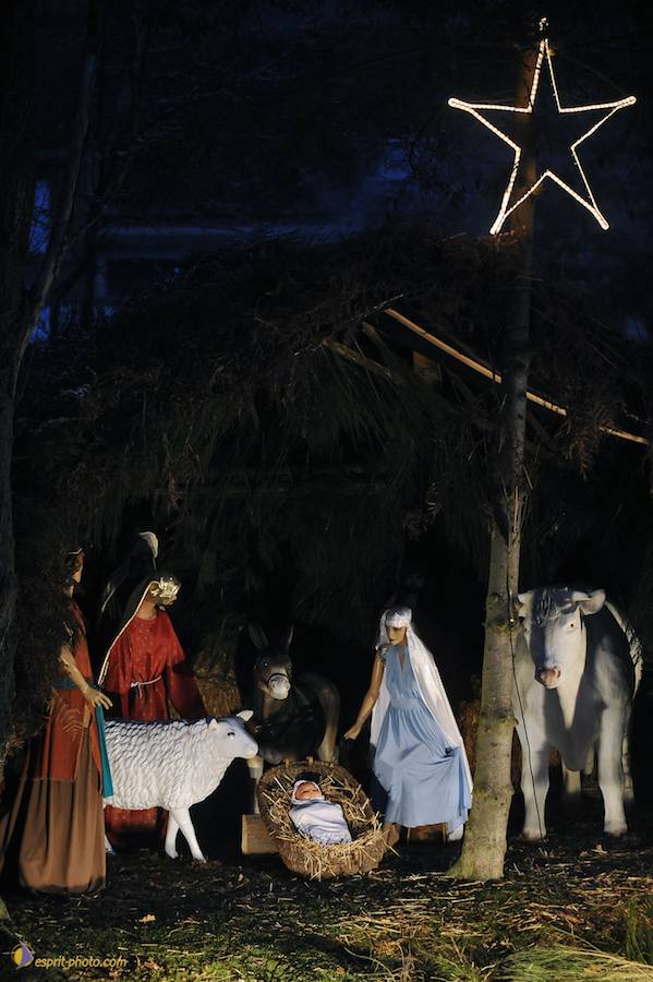 Nom de l'image : D30039549_1_(c)Norbert-JUNG — Description :